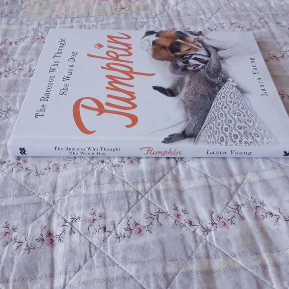 Pumpkin The Raccoon Book - Picture 2 of 9